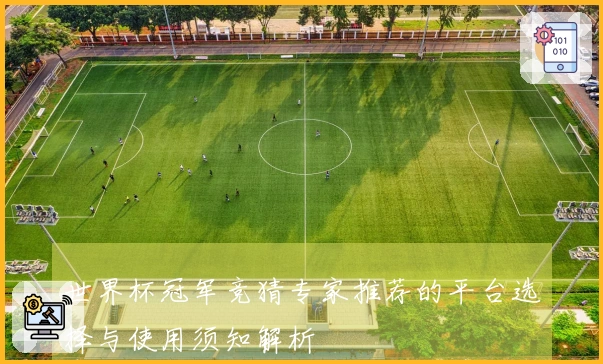 世界杯冠军竞猜专家推荐的平台选择与使用须知解析