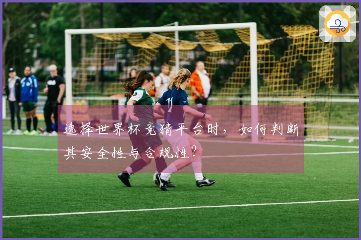 选择世界杯竞猜平台时，如何判断其安全性与合规性？