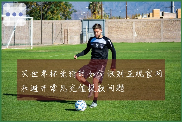 买世界杯竞猜时如何识别正规官网和避开常见充值提款问题