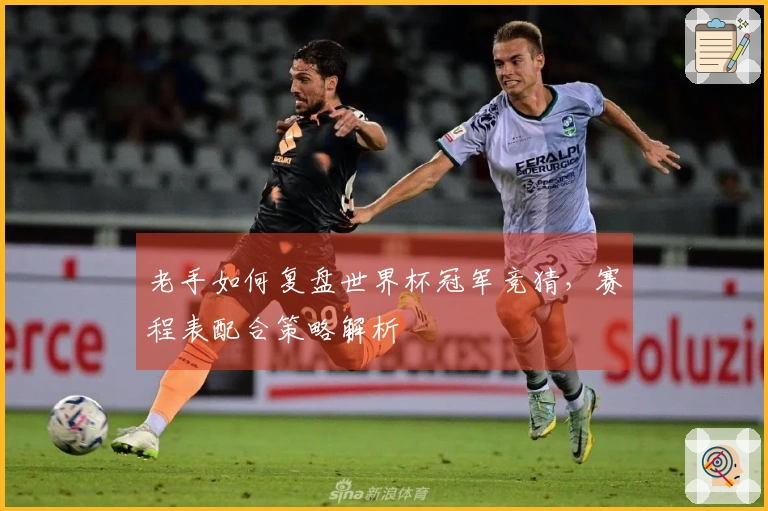 老手如何复盘世界杯冠军竞猜，赛程表配合策略解析