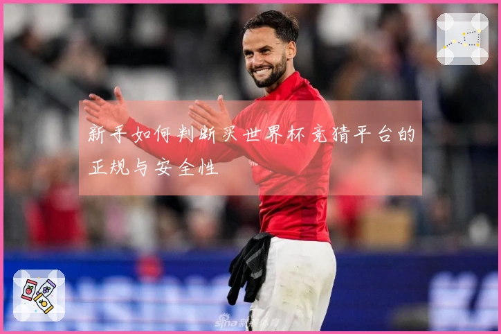 新手如何判断买世界杯竞猜平台的正规与安全性