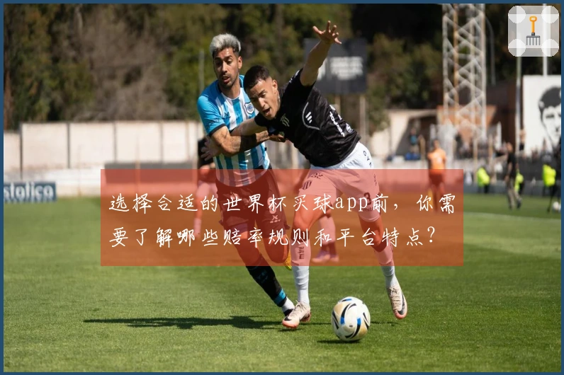 选择合适的世界杯买球app前，你需要了解哪些赔率规则和平台特点？