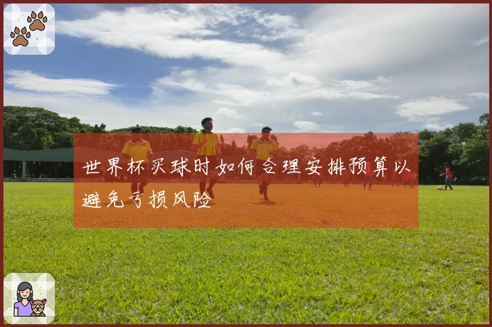 世界杯买球时如何合理安排预算以避免亏损风险