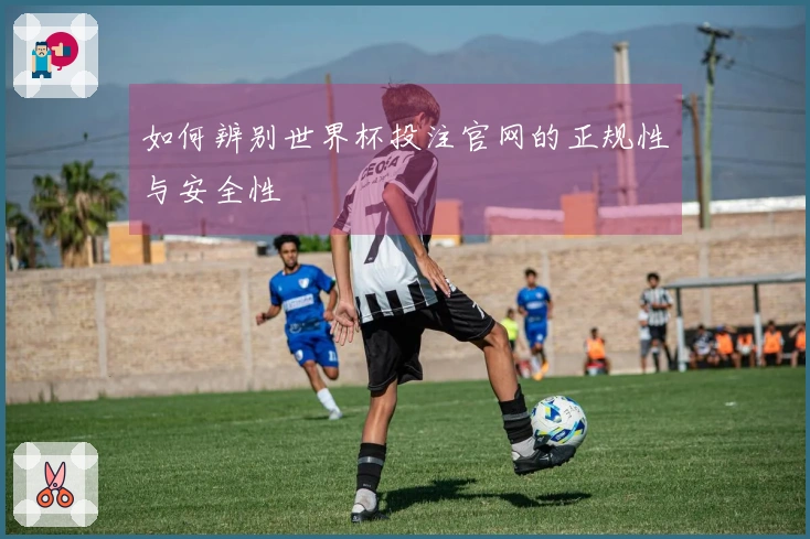 如何辨别世界杯投注官网的正规性与安全性