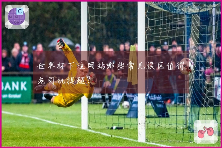 世界杯下注网站哪些常见误区值得老司机提醒？
