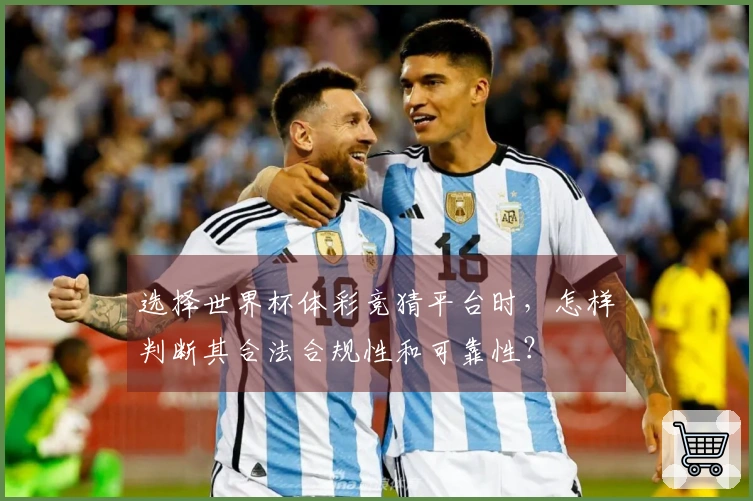 选择世界杯体彩竞猜平台时，怎样判断其合法合规性和可靠性？