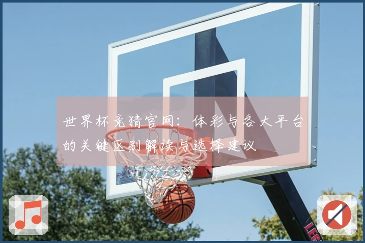 世界杯竞猜官网：体彩与各大平台的关键区别解读与选择建议