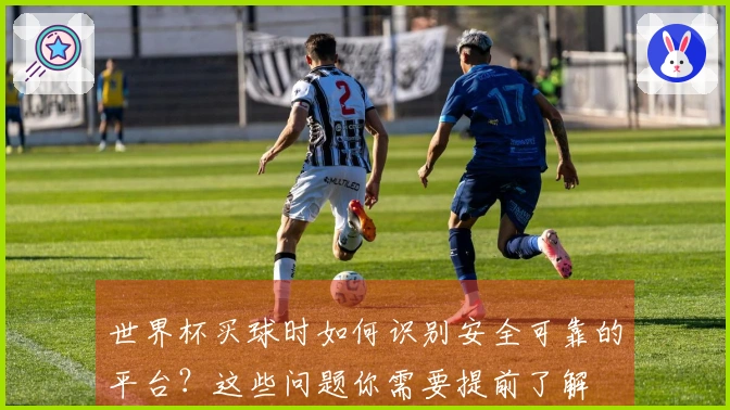 世界杯买球时如何识别安全可靠的平台？这些问题你需要提前了解