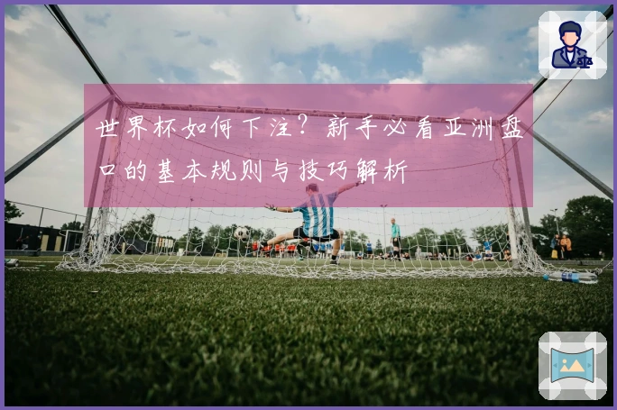 世界杯如何下注？新手必看亚洲盘口的基本规则与技巧解析