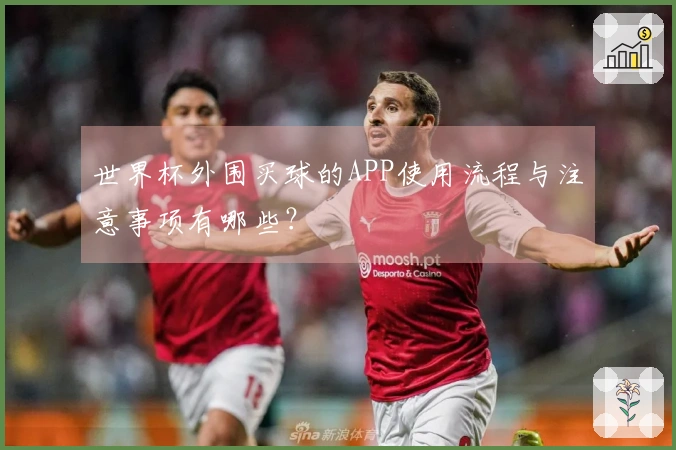 世界杯外围买球的APP使用流程与注意事项有哪些？