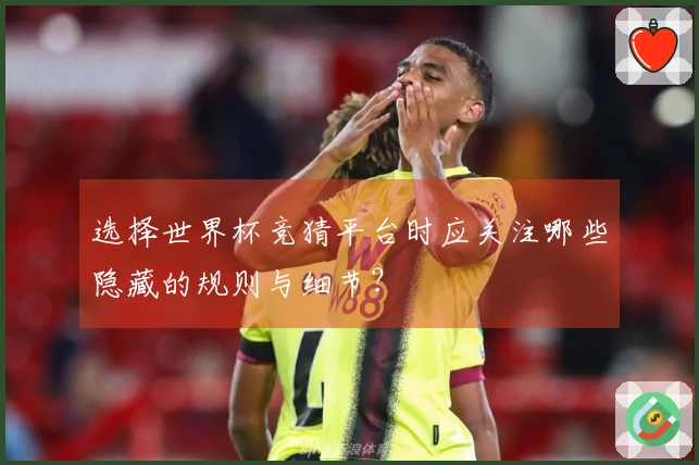 选择世界杯竞猜平台时应关注哪些隐藏的规则与细节？