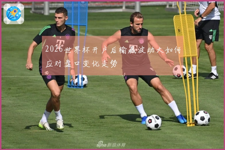 2026世界杯开户后输赢波动大如何应对盘口变化走势