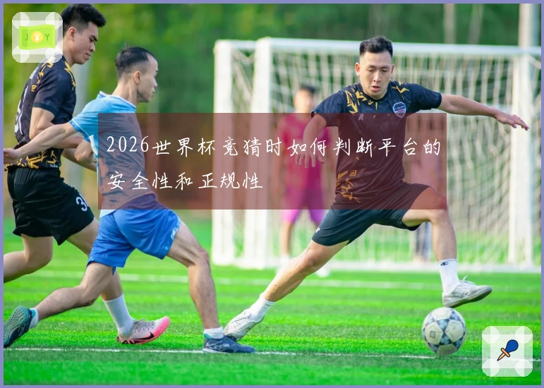 2026世界杯竞猜时如何判断平台的安全性和正规性