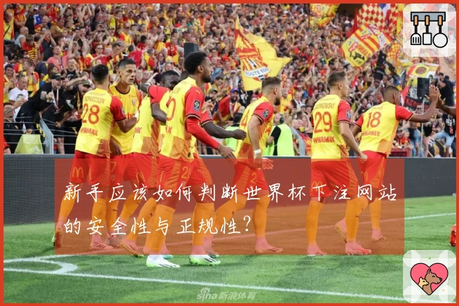 新手应该如何判断世界杯下注网站的安全性与正规性？