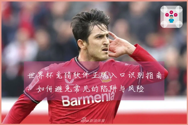 世界杯竞猜软件正规入口识别指南，如何避免常见的陷阱与风险