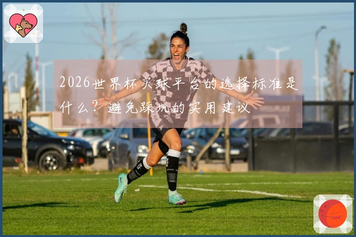 2026世界杯买球平台的选择标准是什么？避免踩坑的实用建议