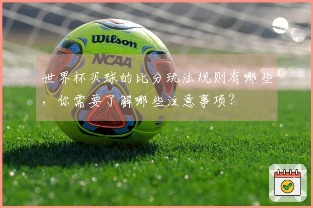 世界杯买球的比分玩法规则有哪些，你需要了解哪些注意事项？