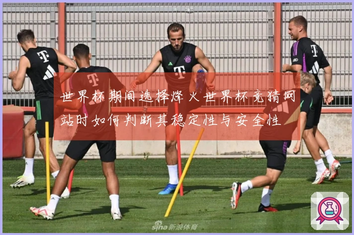 世界杯期间选择烽火世界杯竞猜网站时如何判断其稳定性与安全性