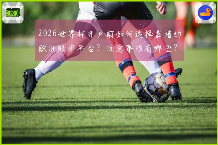 2026世界杯开户前如何选择靠谱的欧洲赔率平台？注意事项有哪些？