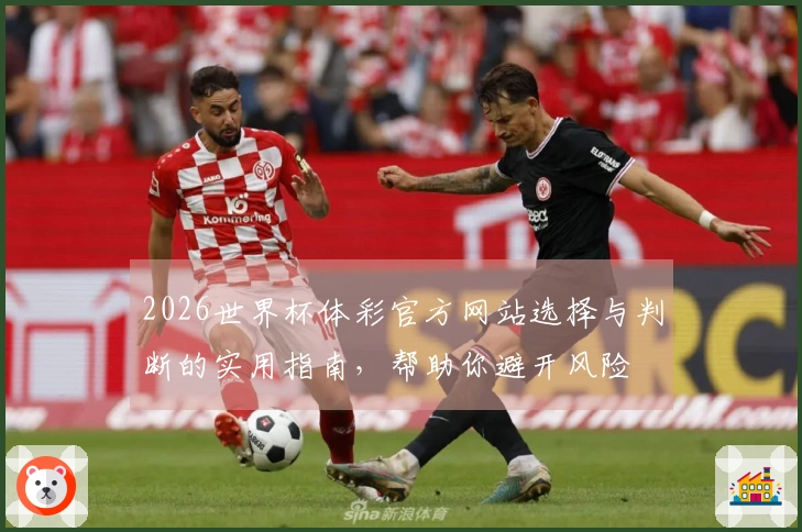2026世界杯体彩官方网站选择与判断的实用指南，帮助你避开风险