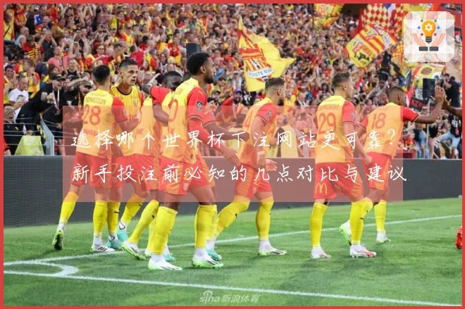 选择哪个世界杯下注网站更可靠？新手投注前必知的几点对比与建议