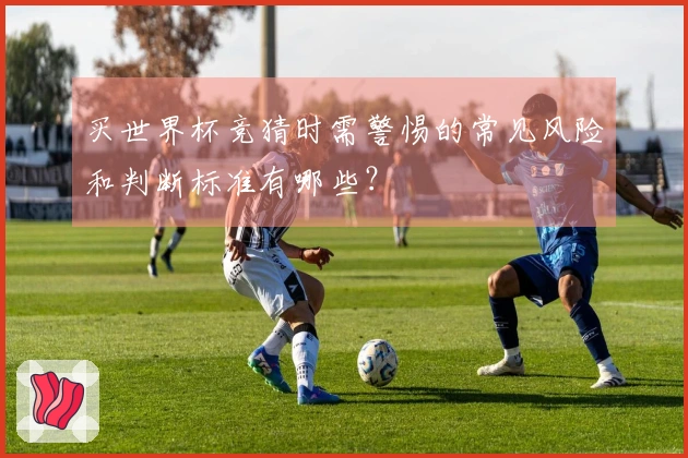 买世界杯竞猜时需警惕的常见风险和判断标准有哪些？