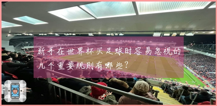 新手在世界杯买足球时容易忽视的几个重要规则有哪些？