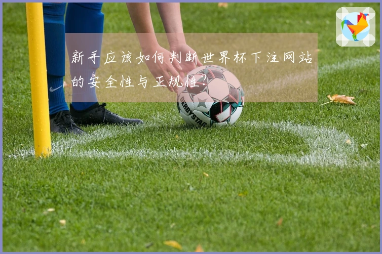 新手应该如何判断世界杯下注网站的安全性与正规性？