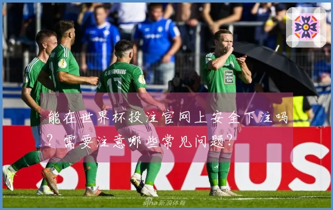 能在世界杯投注官网上安全下注吗？需要注意哪些常见问题？