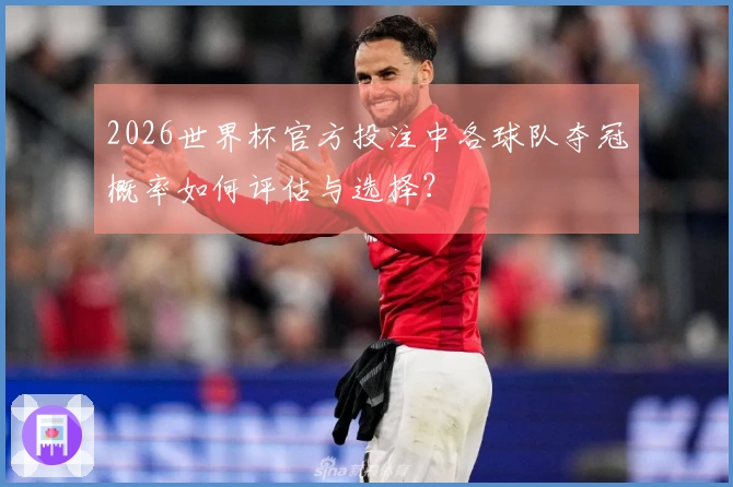 2026世界杯官方投注中各球队夺冠概率如何评估与选择？