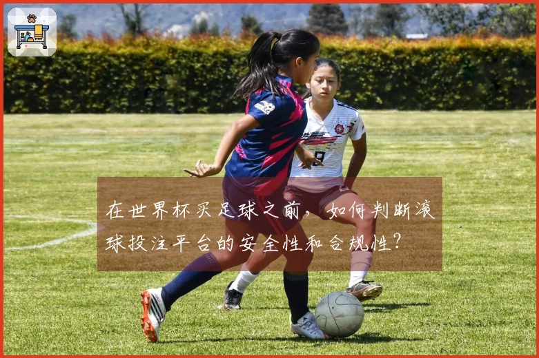 在世界杯买足球之前，如何判断滚球投注平台的安全性和合规性？