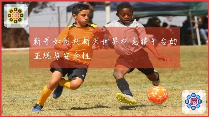 新手如何判断买世界杯竞猜平台的正规与安全性