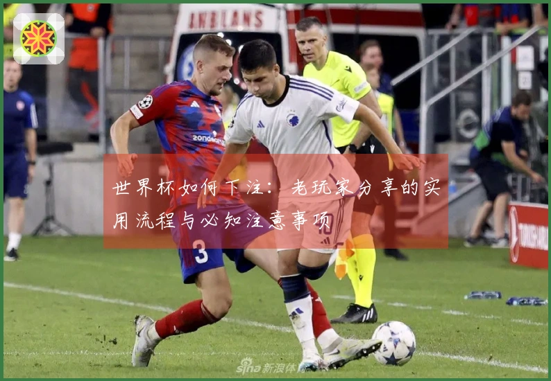 世界杯如何下注：老玩家分享的实用流程与必知注意事项