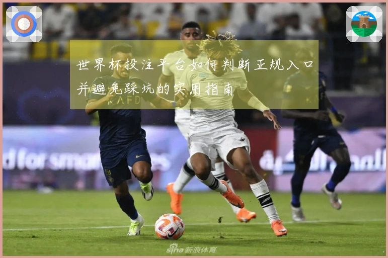 世界杯投注平台如何判断正规入口并避免踩坑的实用指南