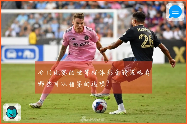 冷门比赛的世界杯体彩竞猜策略有哪些可以借鉴的选项？