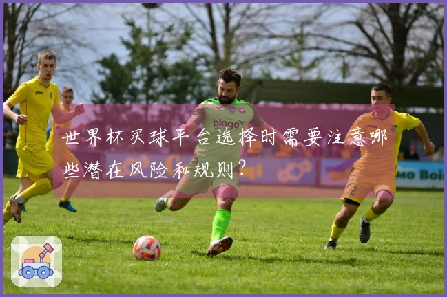 世界杯买球平台选择时需要注意哪些潜在风险和规则？