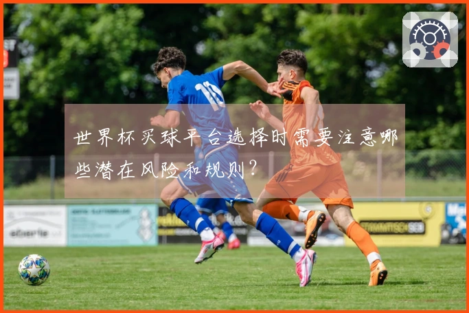 世界杯买球平台选择时需要注意哪些潜在风险和规则？