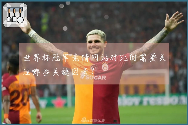 世界杯冠军竞猜网站对比时需要关注哪些关键因素？